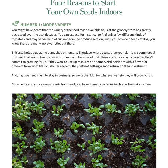 The Complete Guide to Indoor Seed Starting Ebook