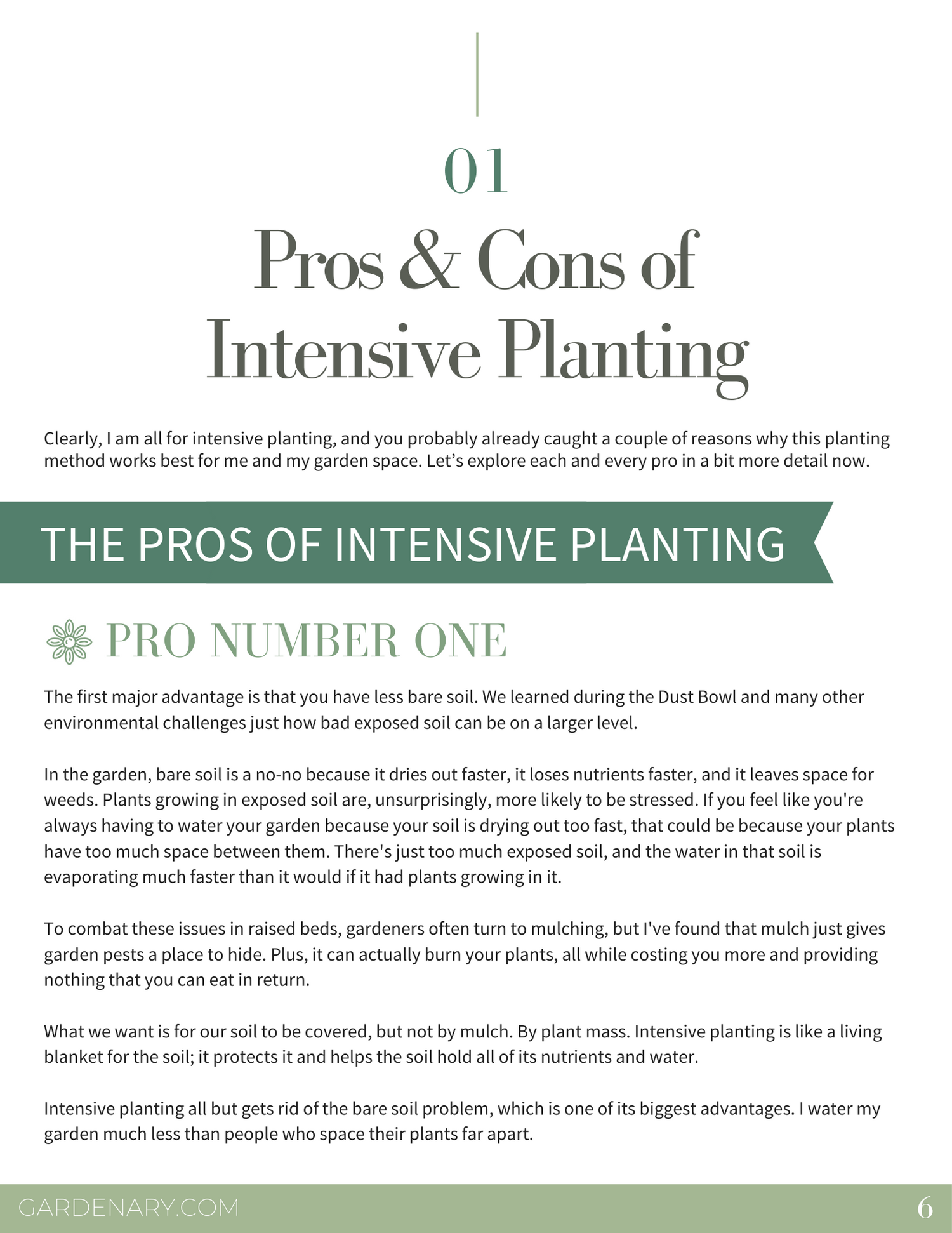 Intensive Planting Ebook