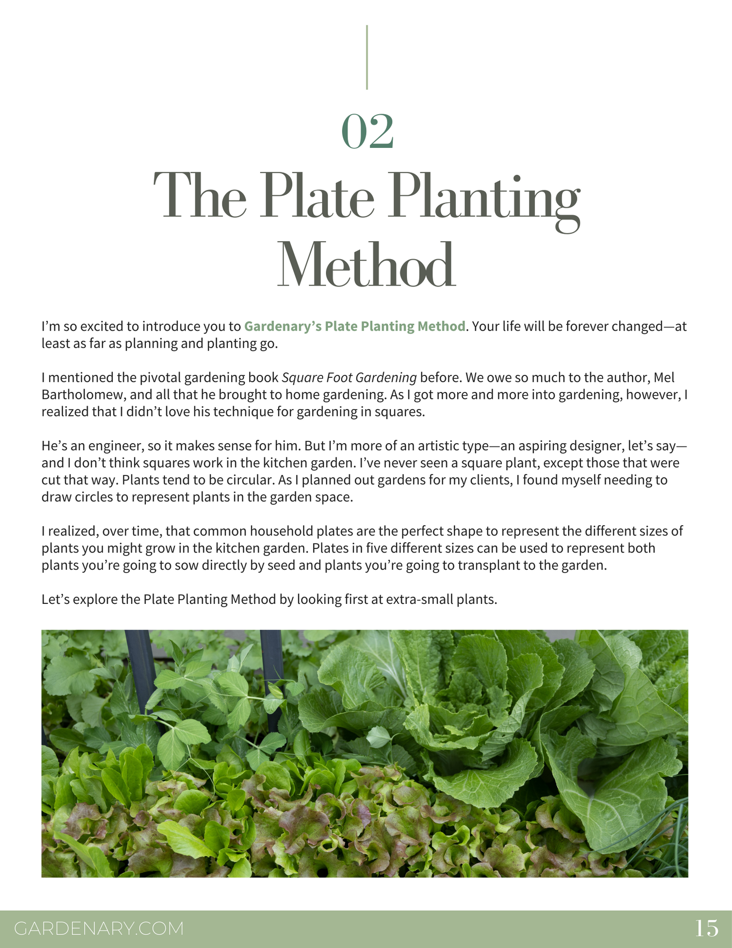 Intensive Planting Ebook