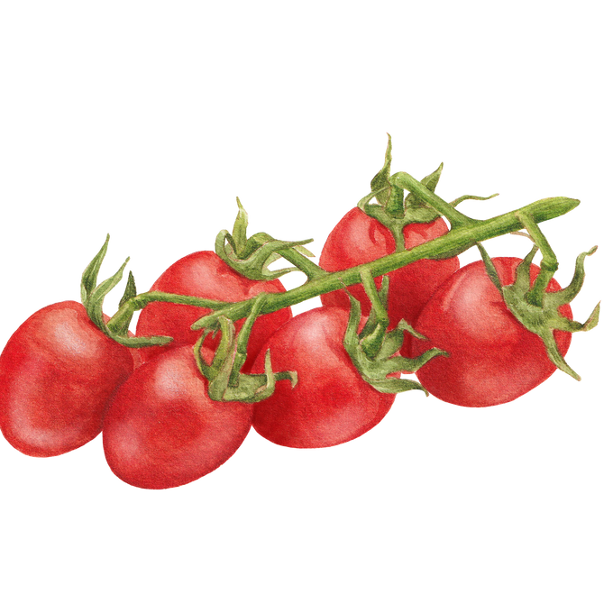 Grape Tomato Seeds