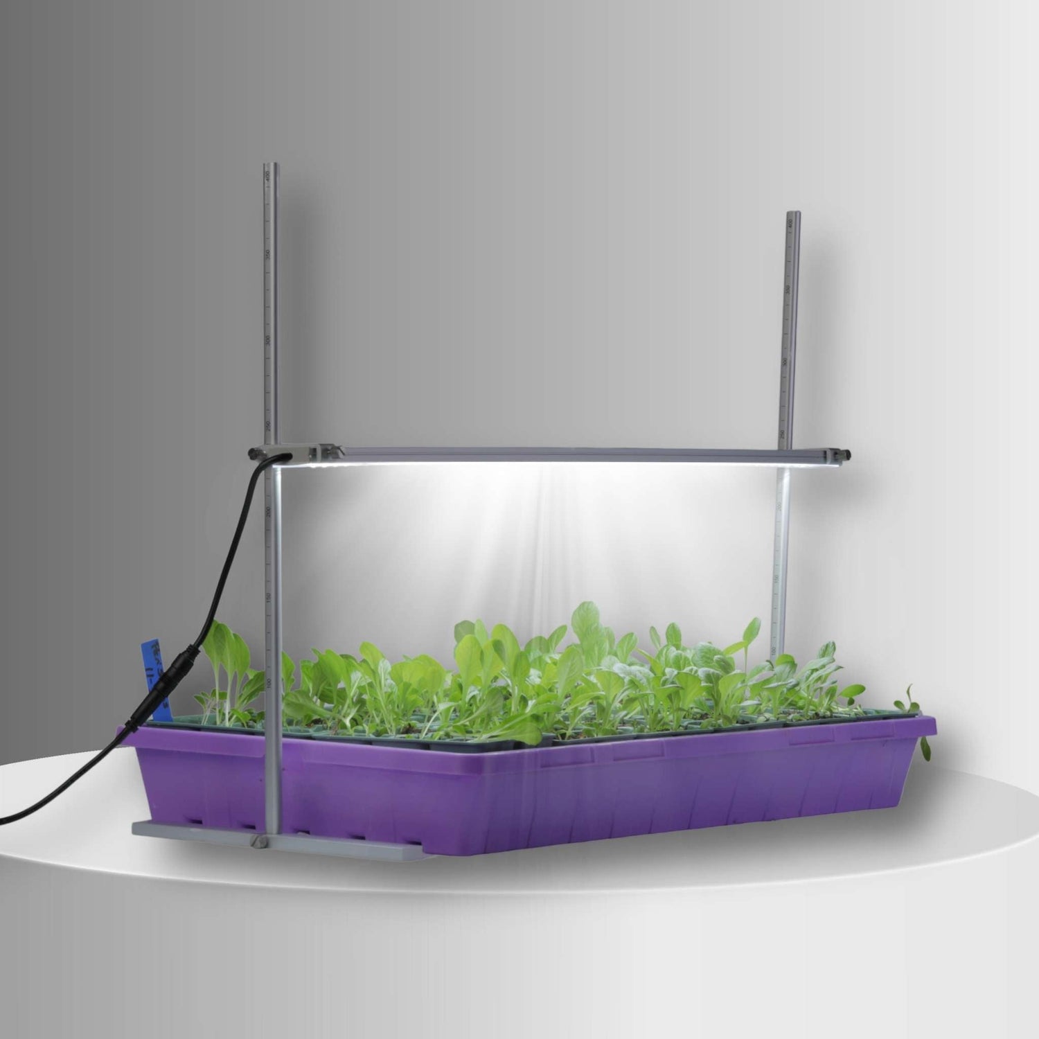 Adjustable LED Grow Light with Stand