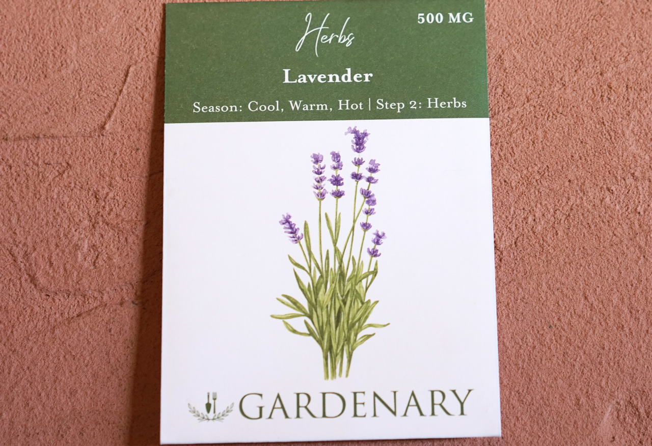 Lavender Seeds