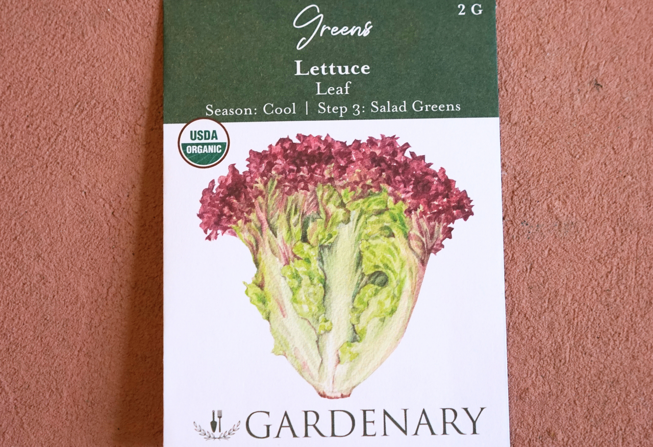 Salad Garden Seed Collection