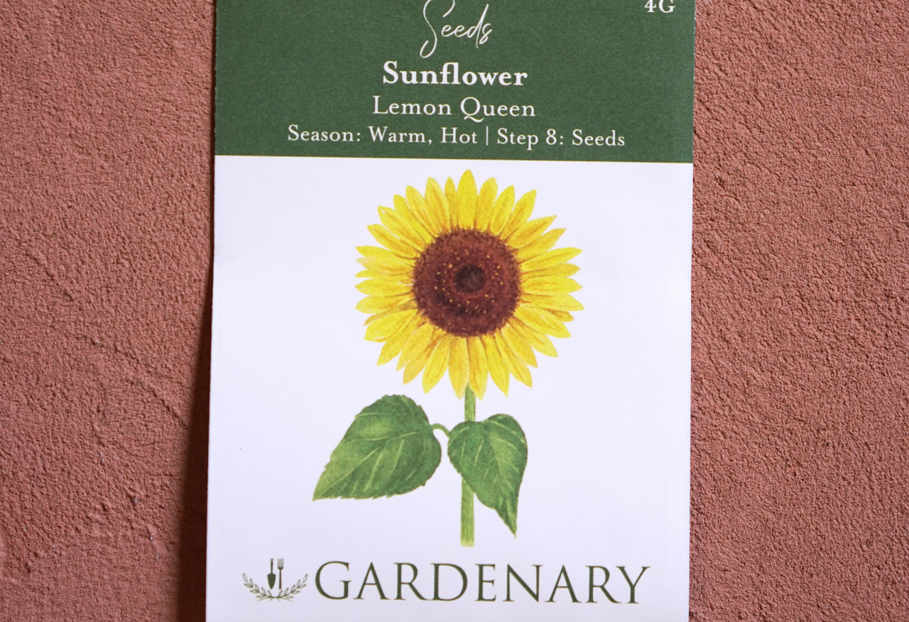 Lemon Queen Sunflower Seeds