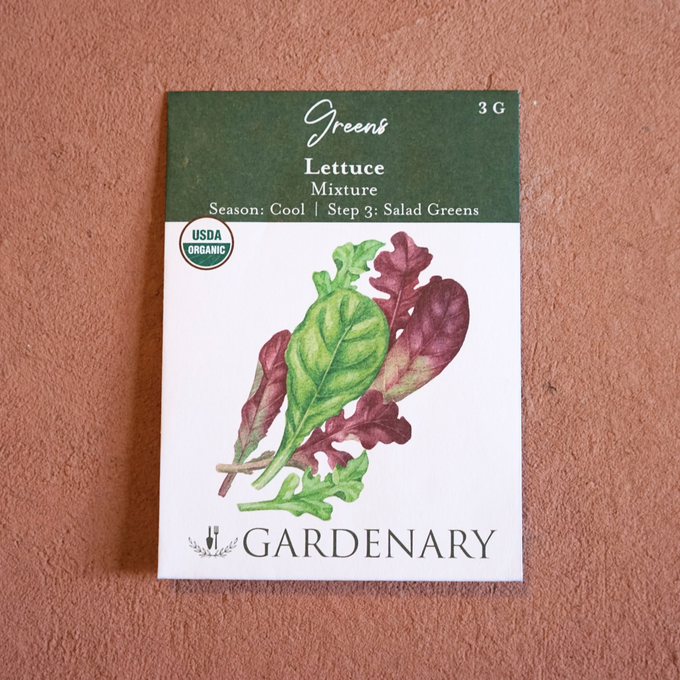 Salad Garden Seed Collection