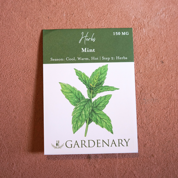 Mint Seeds