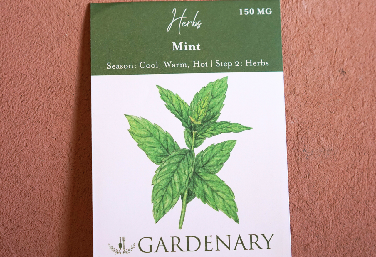 Mint Seeds