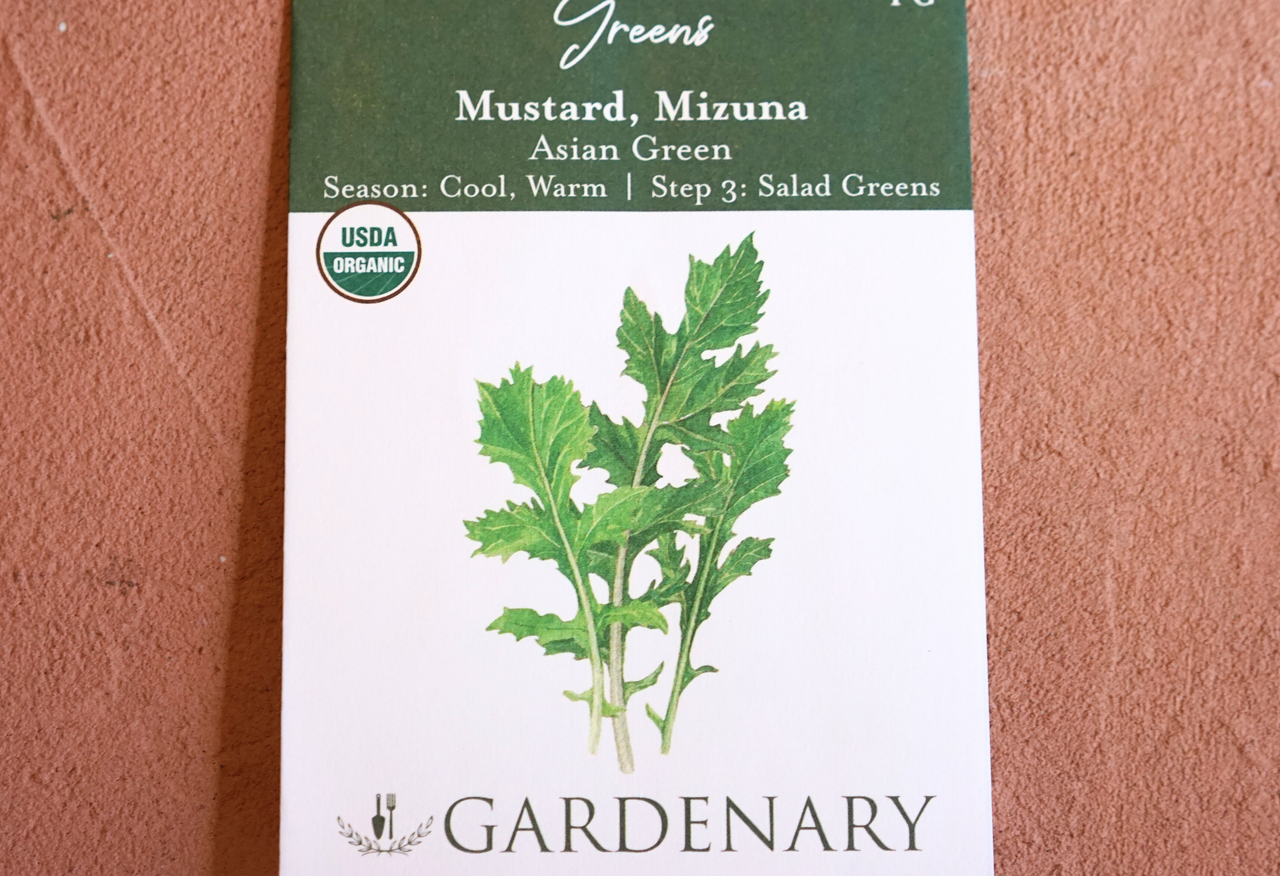 Salad Garden Seed Collection