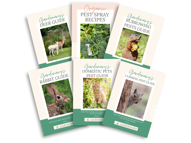 Organic Pest Control Bundle