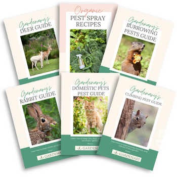 Organic Pest Control Bundle