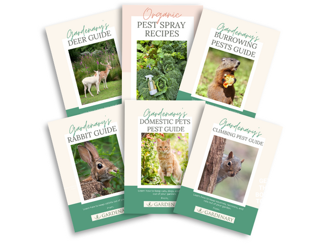 Organic Pest Control Bundle