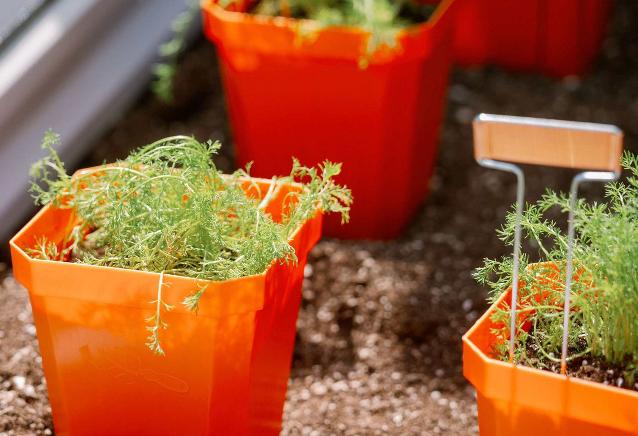 5" Heavy Duty Nursery Pots