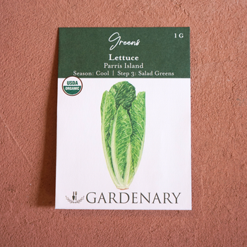 Parris Island Romaine Lettuce Seeds