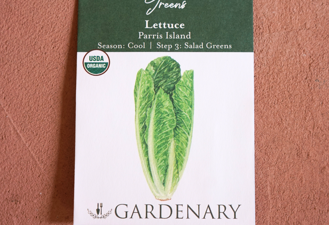 Parris Island Romaine Lettuce Seeds