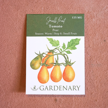 Yellow Pear Tomato Seeds