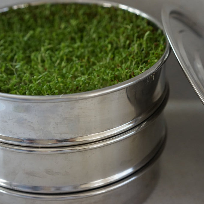 Super Sprout System by Gardenary