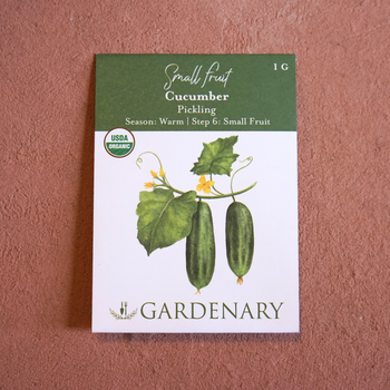 Pickling Cucumber Seeds