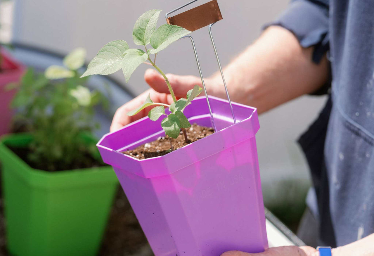 5" Heavy Duty Nursery Pots
