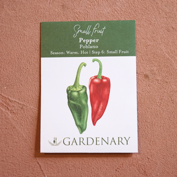 Poblano Pepper Seeds