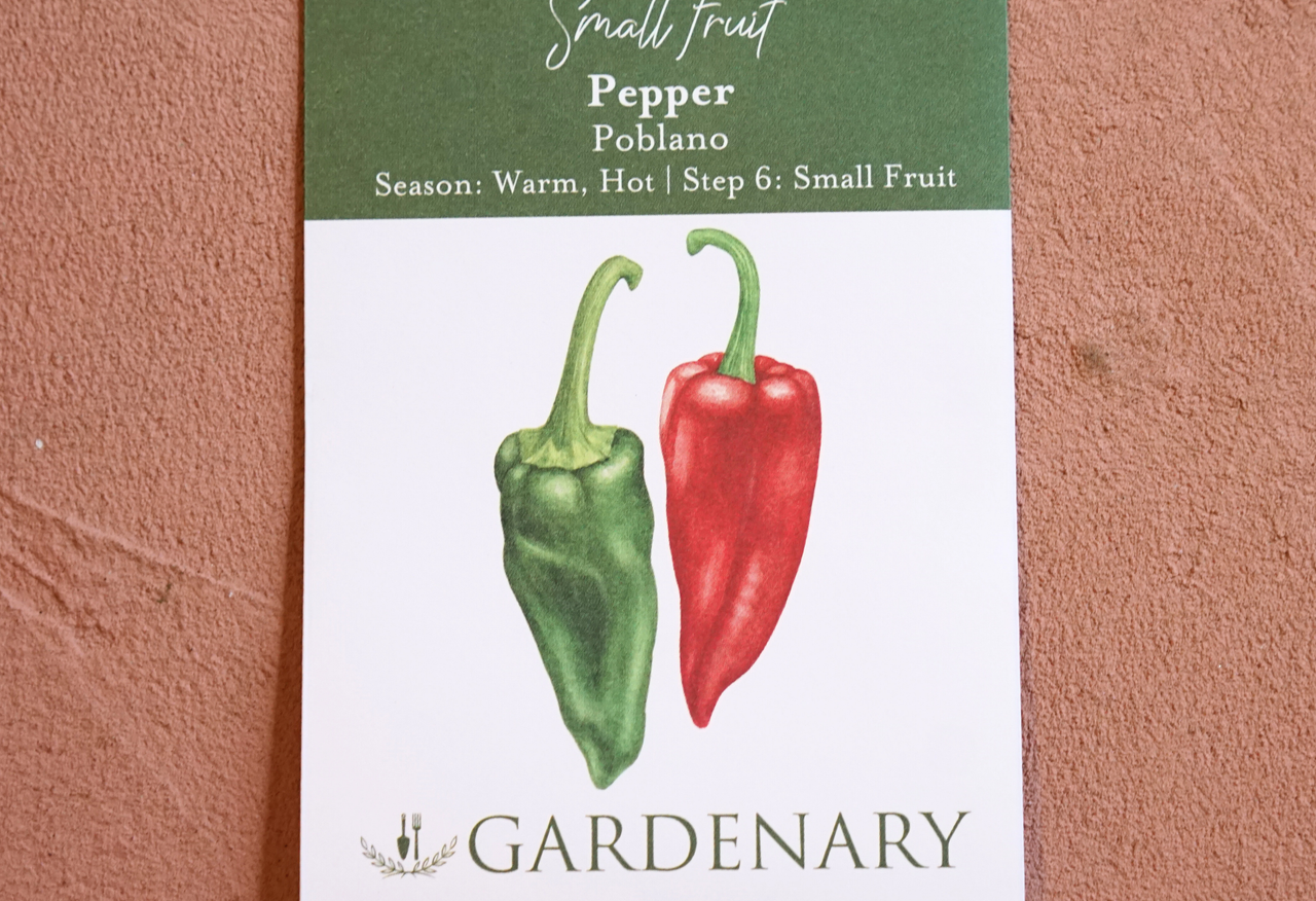 Poblano Pepper Seeds