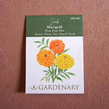 Pom Pom Mix Marigold Seeds