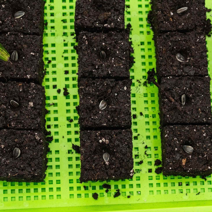 Soil Blocking Seed Starting Kit