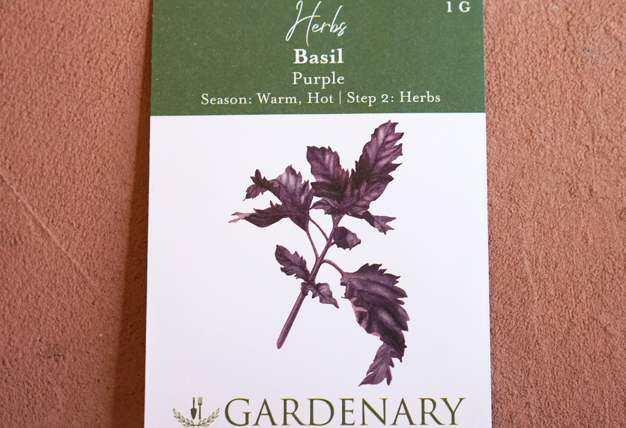 Purple Basil Seeds