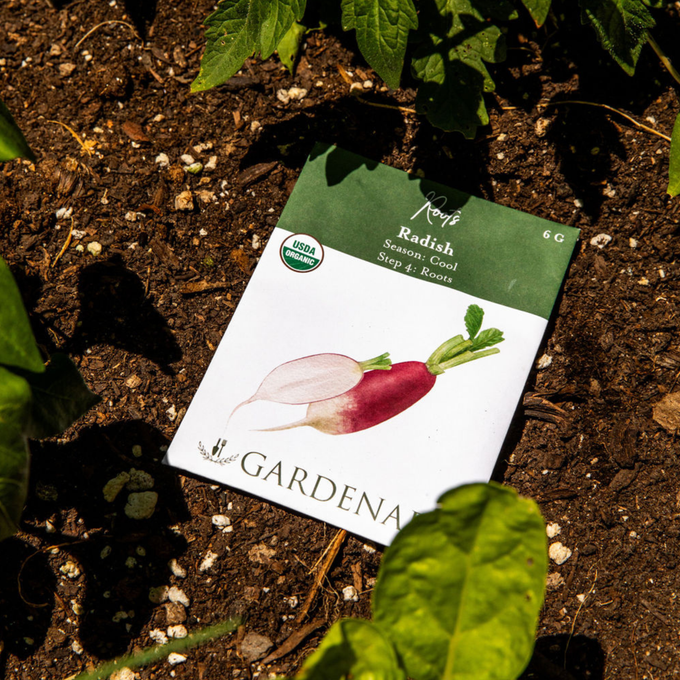 French Breakfast Radish Seeds