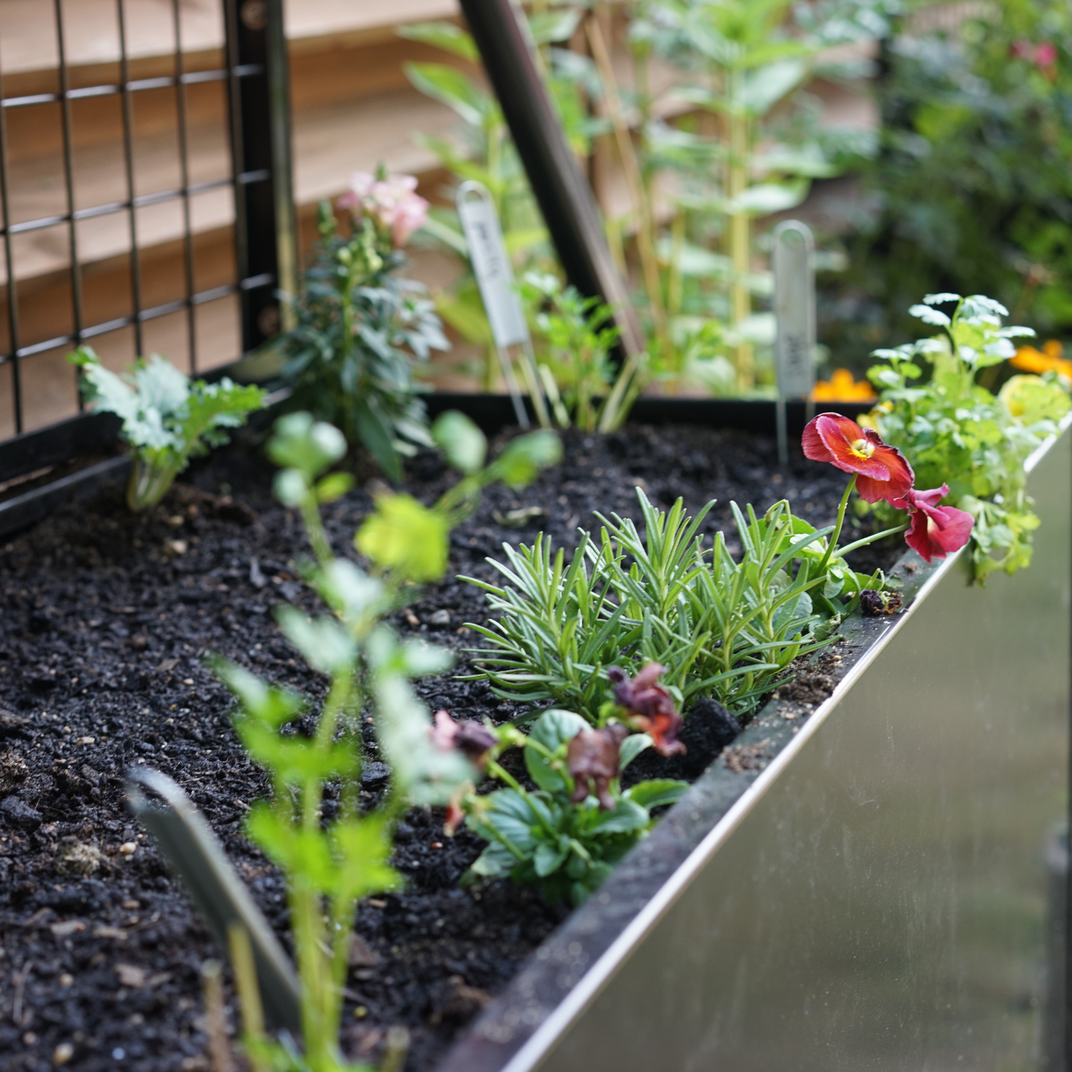 raised planter with trellis Black Aluminum Raised Bed with Trellis – Optional Casters – Gardenary Shop