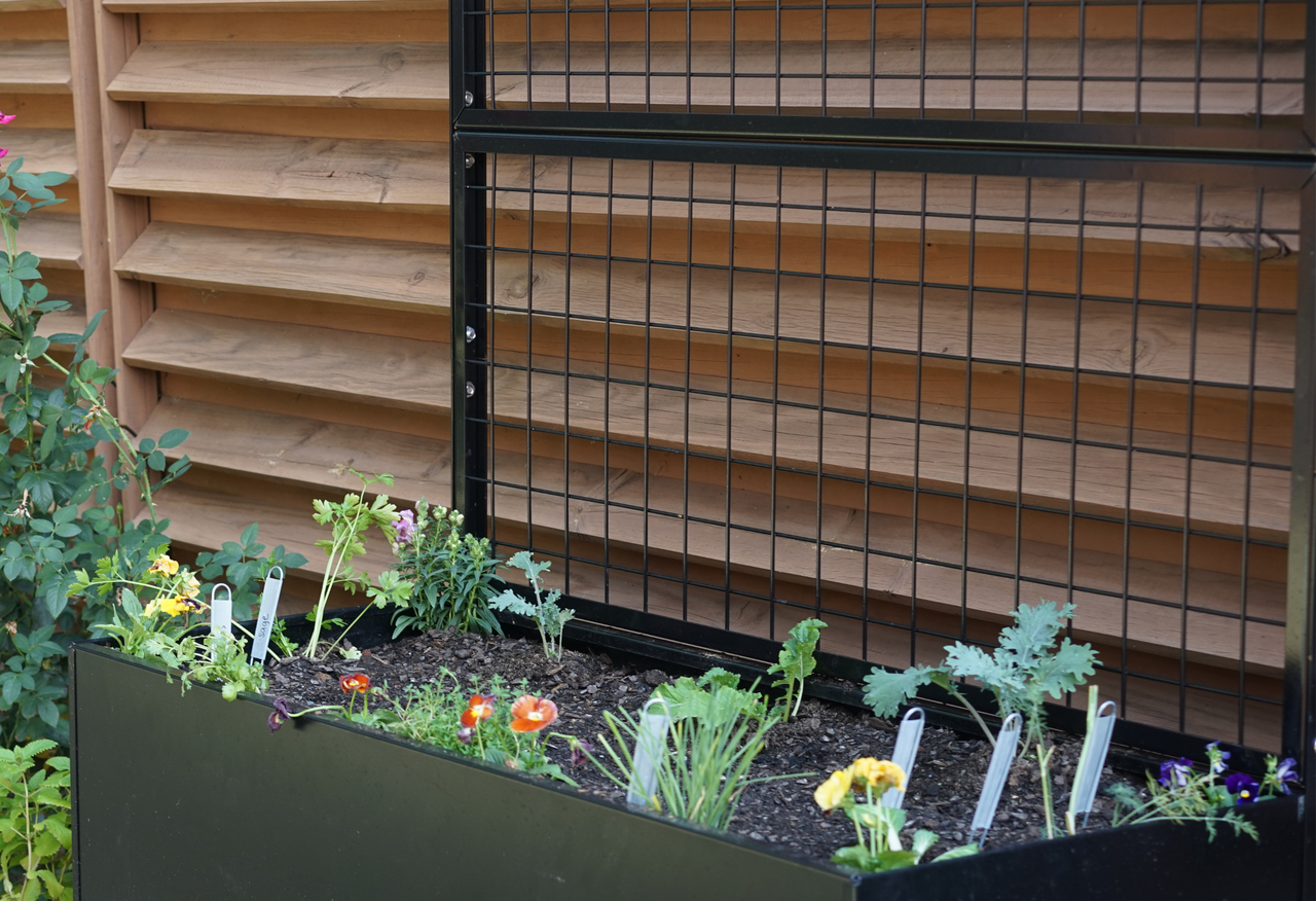 Aluminum Raised Bed with Trellis