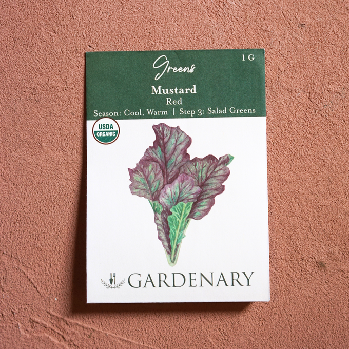 Salad Garden Seed Collection