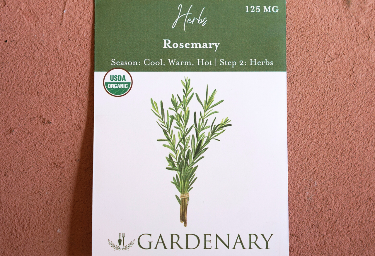 Rosemary Seeds