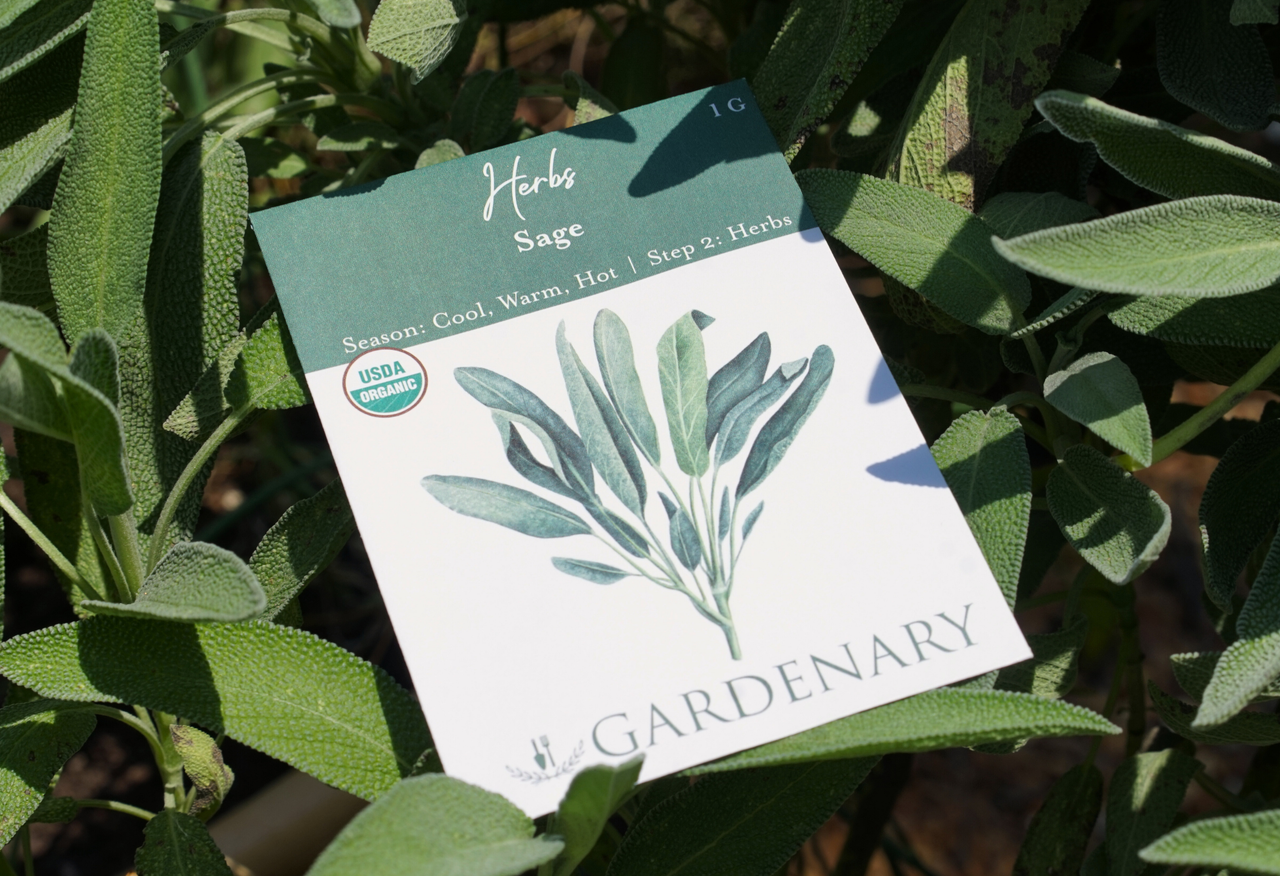Gardenary Seeds