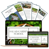 Salad Garden School