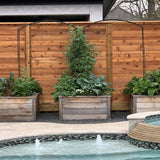 Sandra Kitchen Garden Bundle