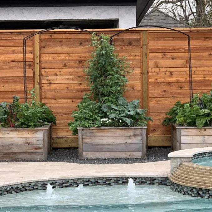 Sandra Kitchen Garden Bundle