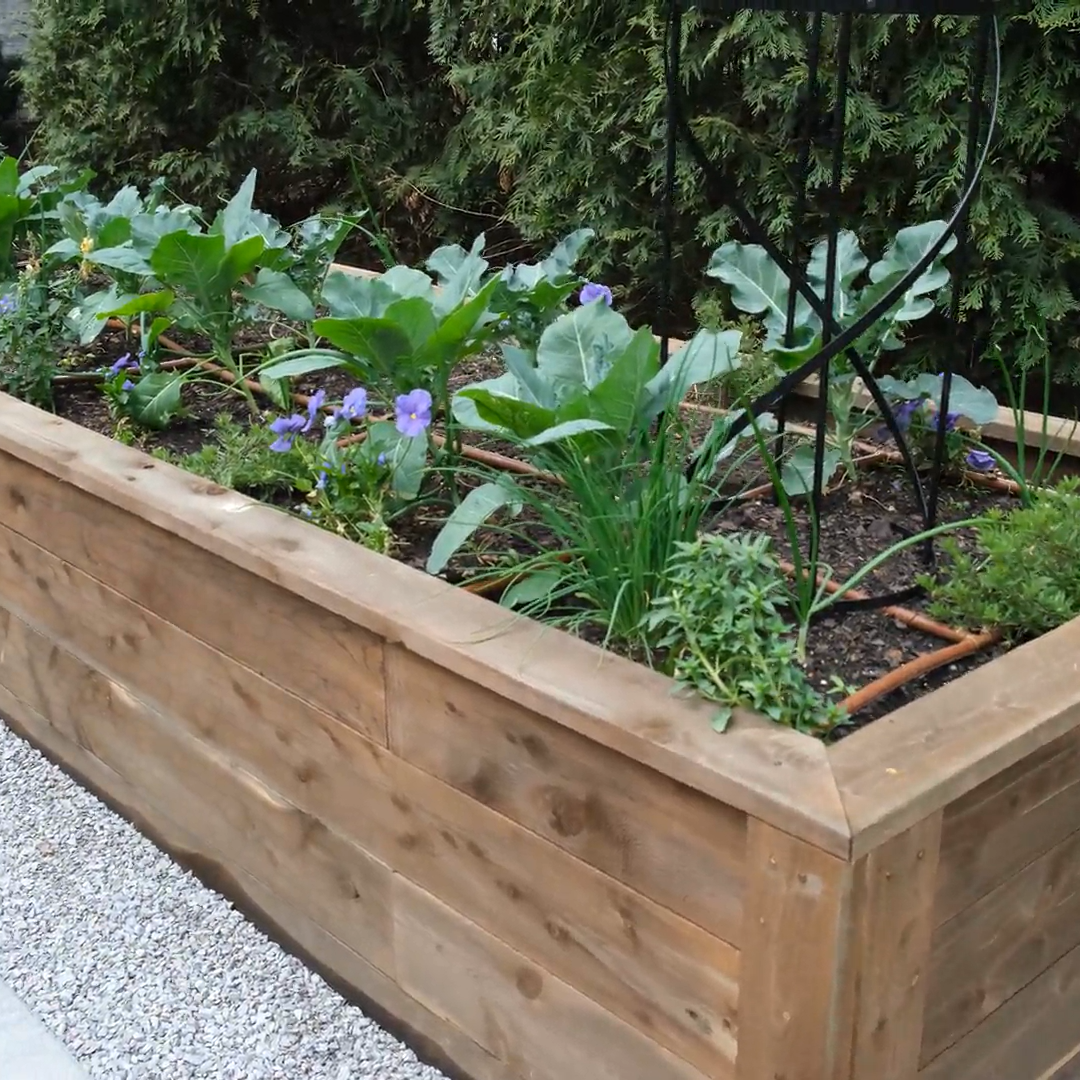Eco Restore Wood Treatment