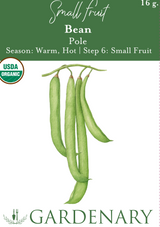 Pole Bean Seeds
