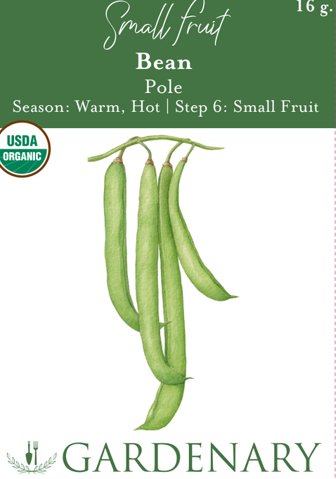 Pole Bean Seeds