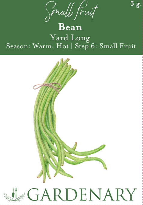 Yard Long Pole Bean Seeds