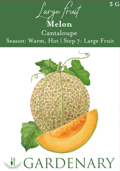 Cantaloupe Seeds