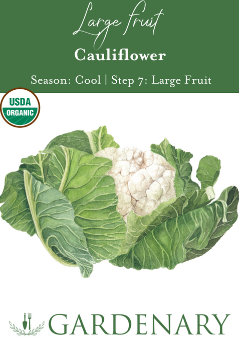 Cauliflower Seeds