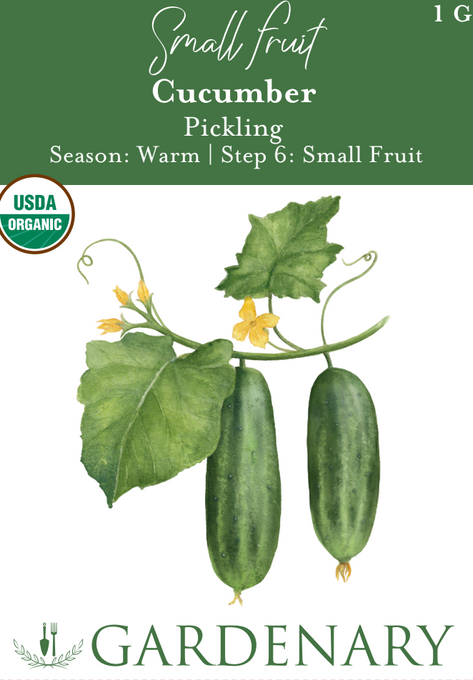 Pickling Cucumber Seeds