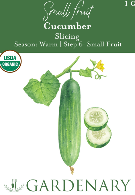 Slicing Cucumber Seeds