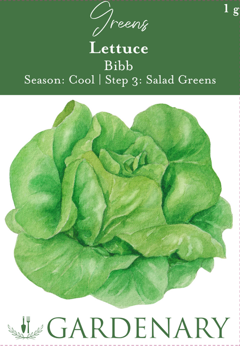 Bibb Lettuce Seeds