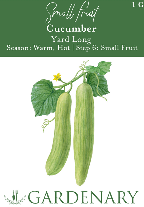 Yard Long Cucumber Seeds