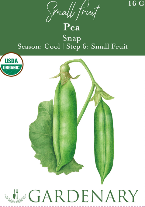 Sugar Snap Pea Seeds