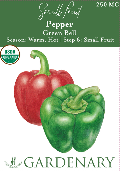 Green Bell Pepper Seeds