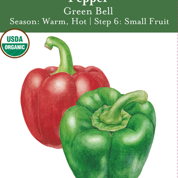 Green Bell Pepper Seeds