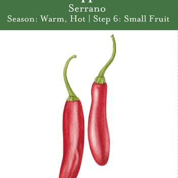 Serrano Pepper Seeds